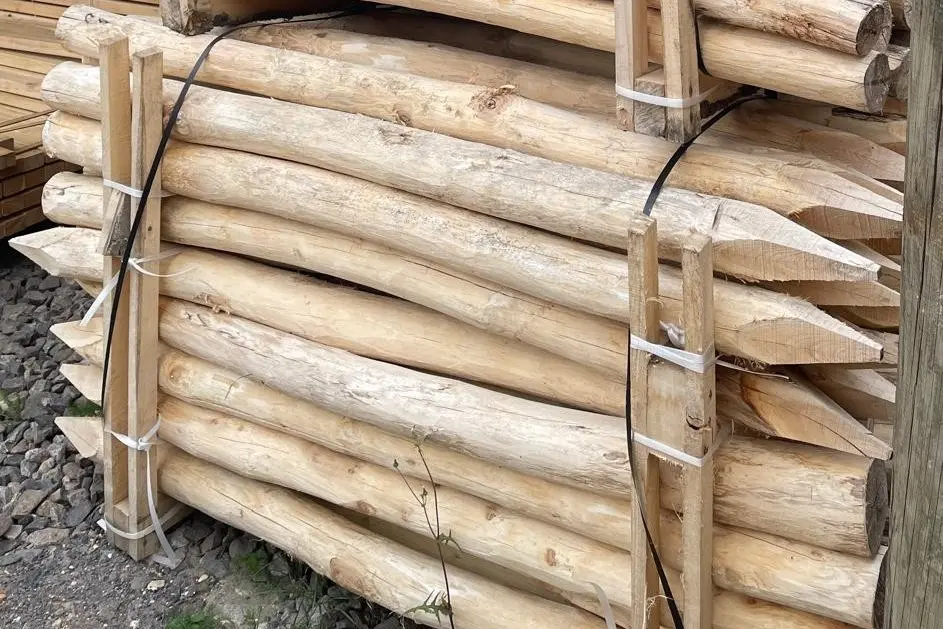 Robinia Posts