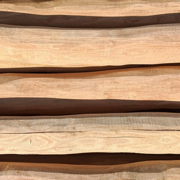 Robinia Poles