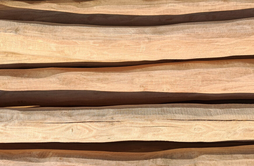 Robinia Poles