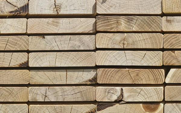 Robinia Boards