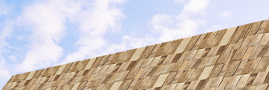 Robinia Shingles