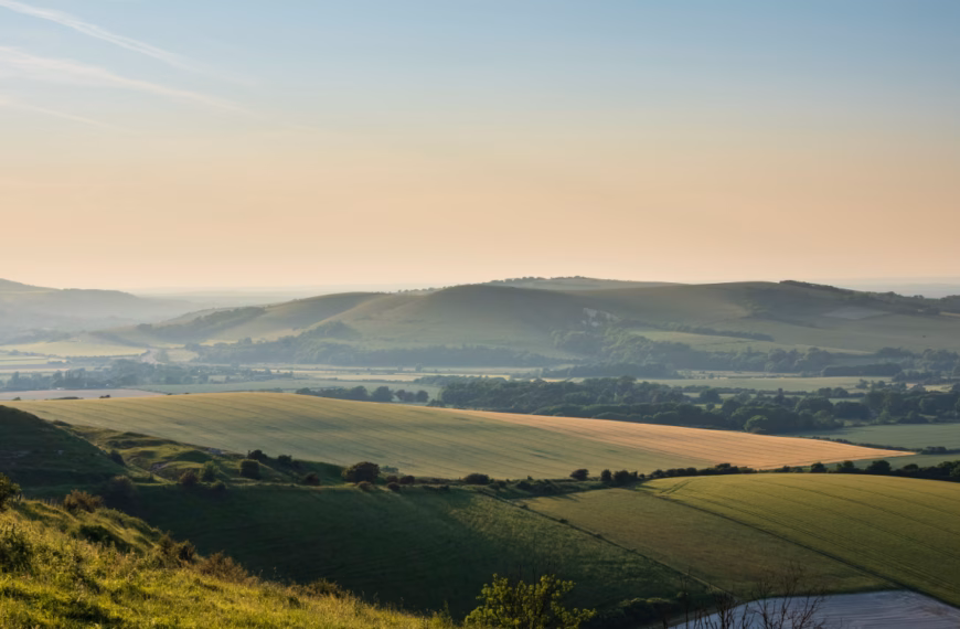 Careers Day with Midhurst College and FWAG South East